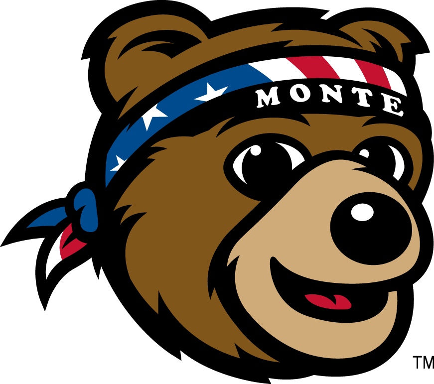 Montana Grizzlies 2010-Pres Mascot Logo 02 iron on paper